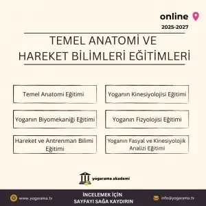 Temel Anatomi ve Hareket Bilimleri Eğitimi (3'lü Program)